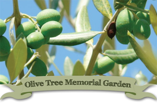 Olive Tree Memorial Garden