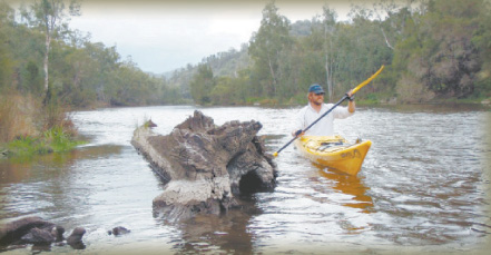 Author, Geoff Greenwood, paddling in the Gwydir River.