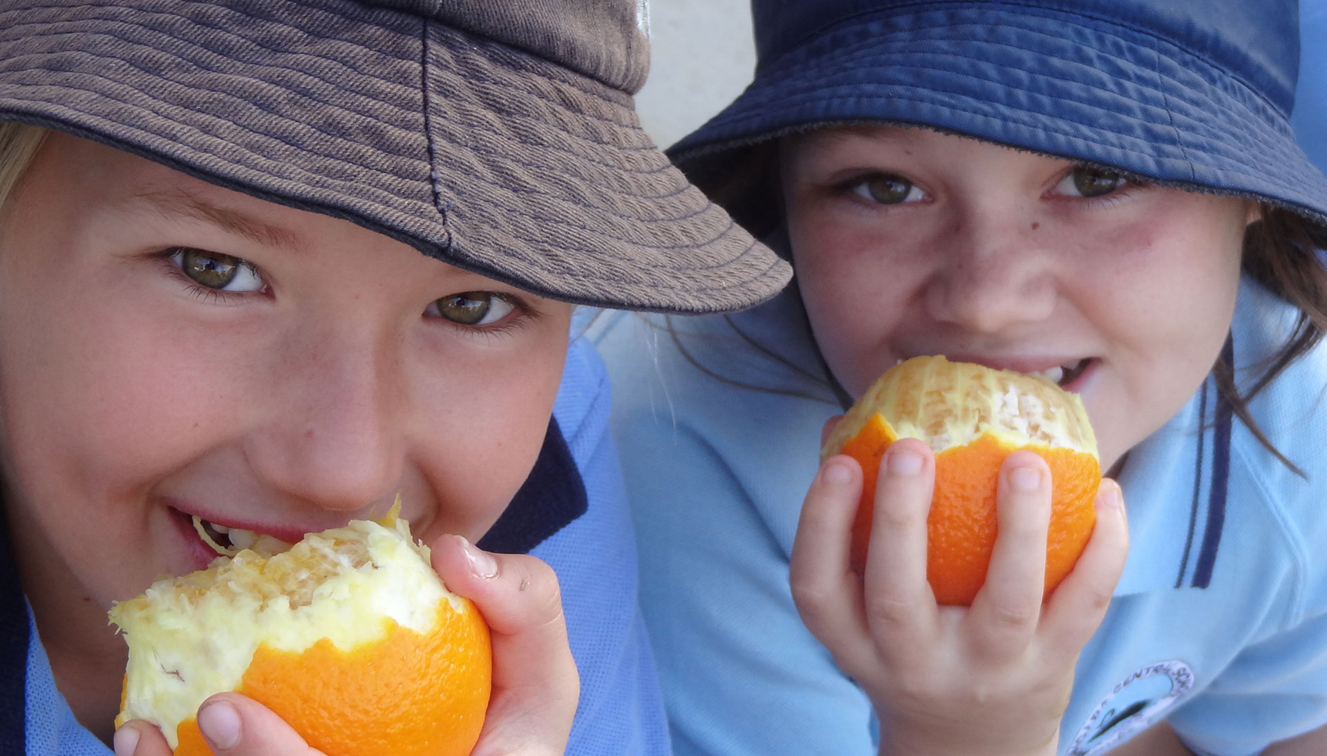 Bingara Orange Picking