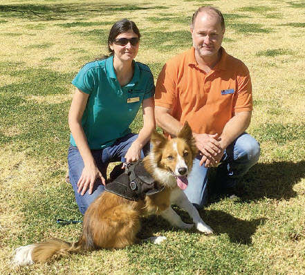 Dr. Romane Cristescu, Russell Miller and koala detection dog ‘Baxter’.