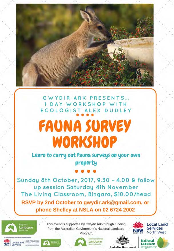Fauna Survey workshop