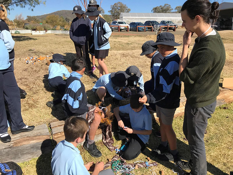 Jono Bolitho oversees the Stage 3 students devising their plant artwork.