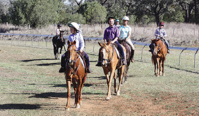 Bingara E Troop returning from a flat riding exercise.