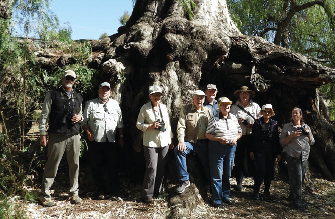 Members of the North West Birdwatching Group by the Gwydir River in Bingara.
