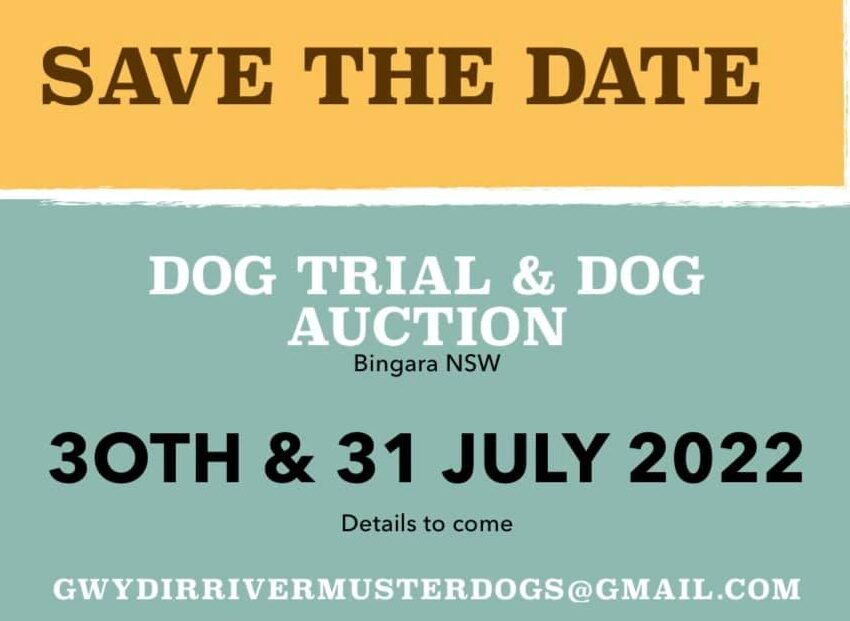 Bingara Trial & Dog Auction